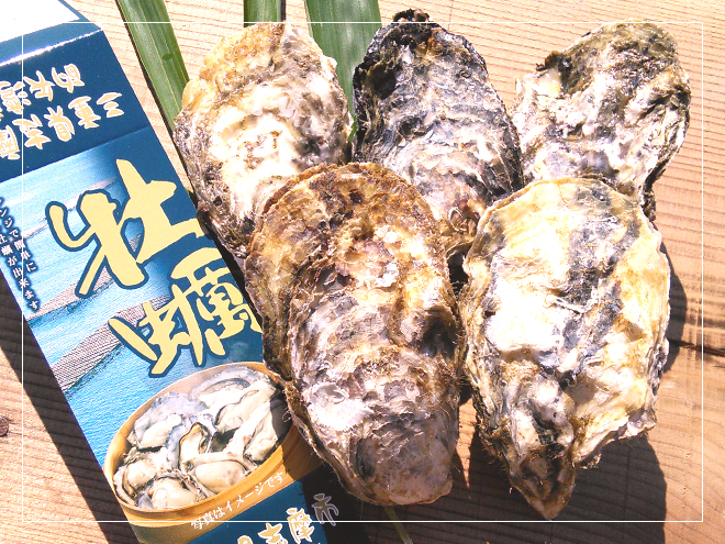 今期、新発売するレンジ蒸し用の牡蠣、5個セット
