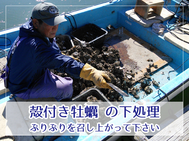 殻付き牡蠣 下処理