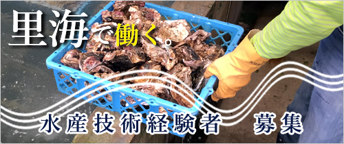 水産技術者　募集ページへ