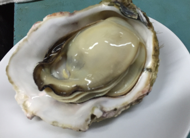 佐藤養殖場の岩牡蠣を通販で取り寄せ！
