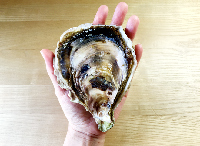 佐藤養殖場の生食用の清浄牡蠣　夏の岩かき（200～250g）