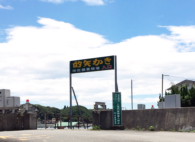 佐藤養殖場　入口